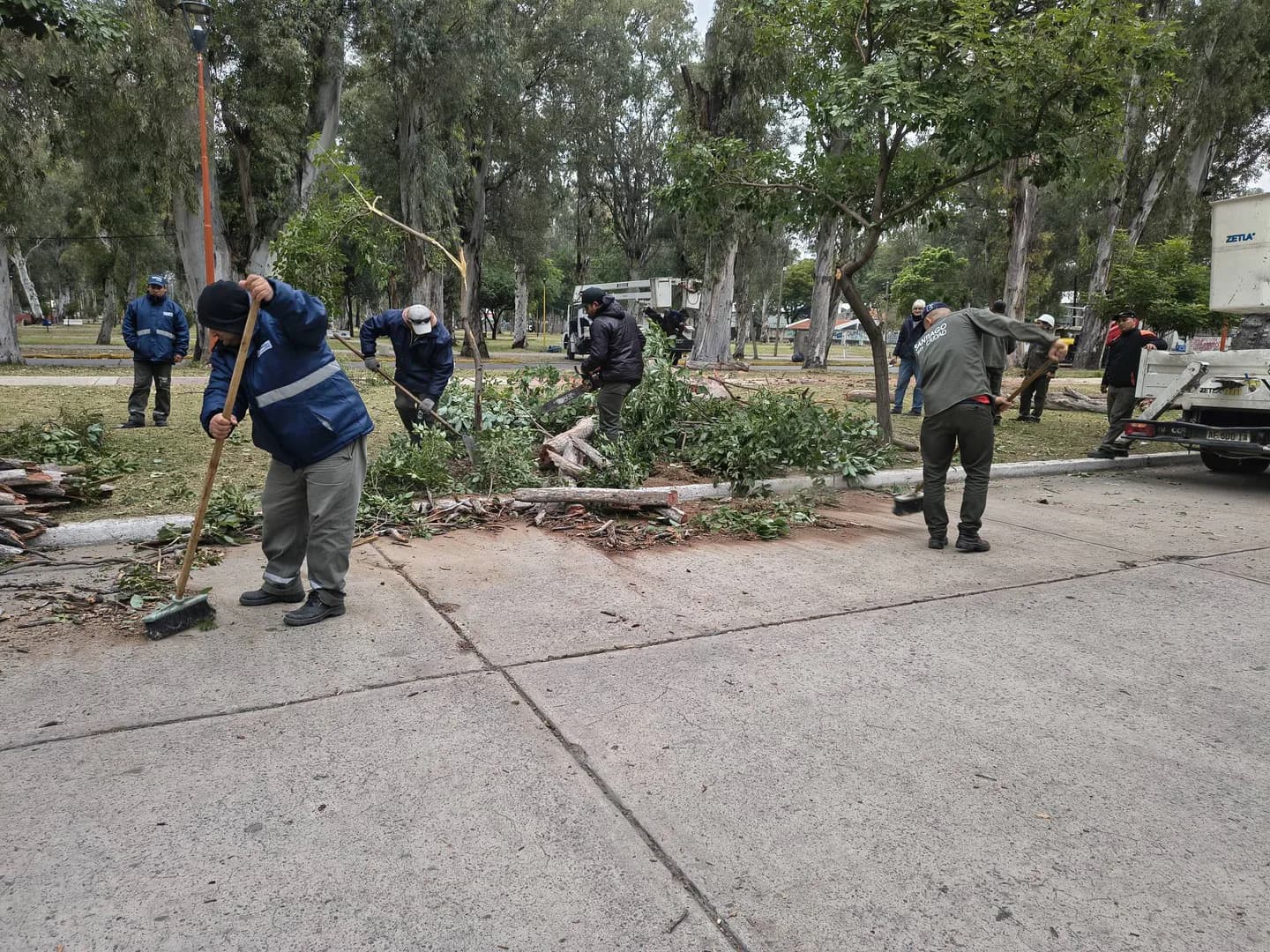 Personal especializado realiza la poda en altura de tres eucaliptos de gran porte en el parque Aguirre