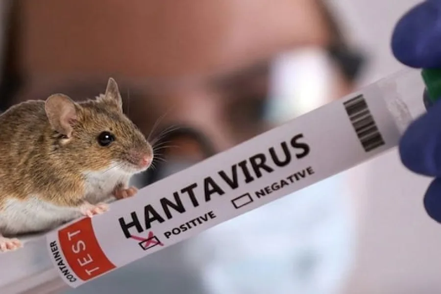 El hantavirus suma nuevos casos y crece la preocupación sanitaria en Argentina