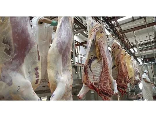 Exportación de carne: el Gobierno nacional abrió la inscripción para la Cuota Hilton 2026/2027