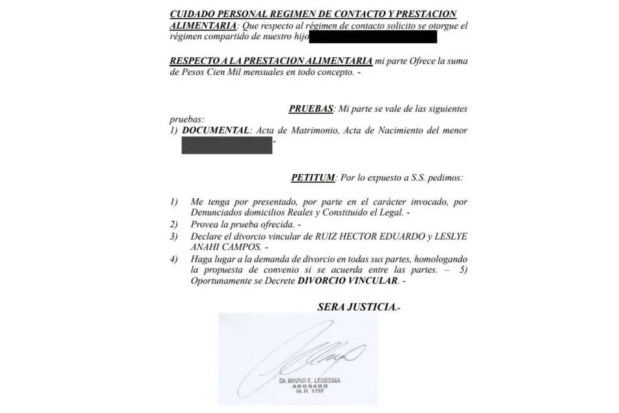Chabay Ruíz, la política, el divorcio y una pregunta: ¿con $100.000 se cría a un hijo?