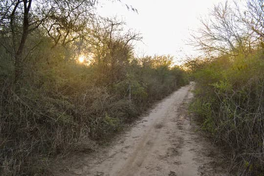 Hallaron con vida a un hombre de 66 años que permaneció extraviado 20 horas en el monte