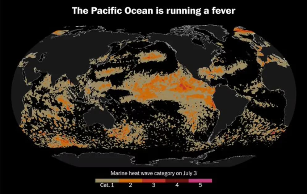 El Océano Pacífico registra temperaturas récord por una ola de calor marina que cubre el trece por ciento de la Tierra