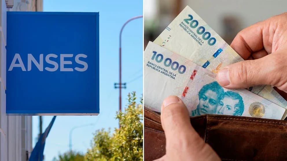 ANSES confirmó quiénes cobran hoy, miércoles 29 de julio de 2026