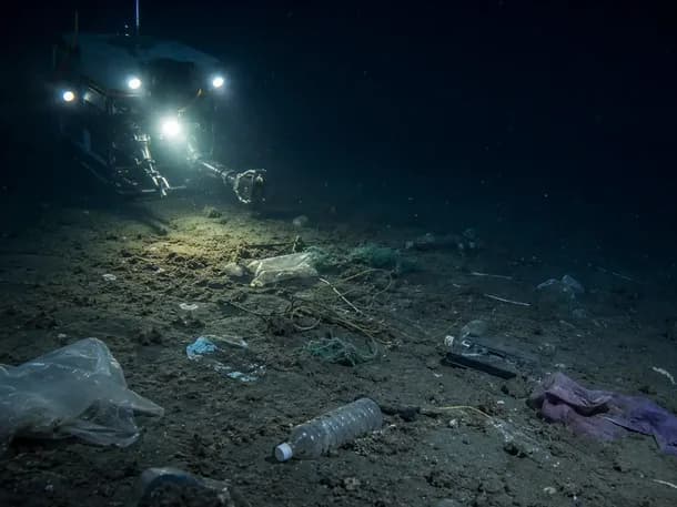 Científicos encontraron basura a casi 4.000 metros de profundidad en el Mar Argentino