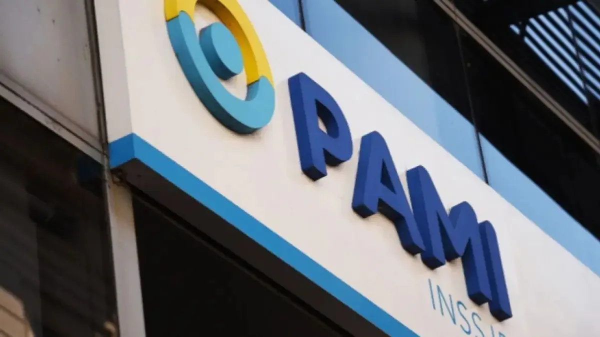 Presentan una denuncia penal por el plan de retiros en Justicia y piden investigar al PAMI