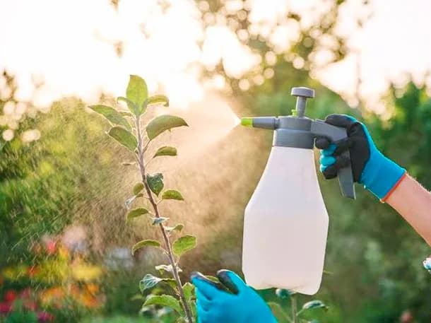 ANMAT prohibió el insecticida Asesino X y ordenó retirarlo del mercado