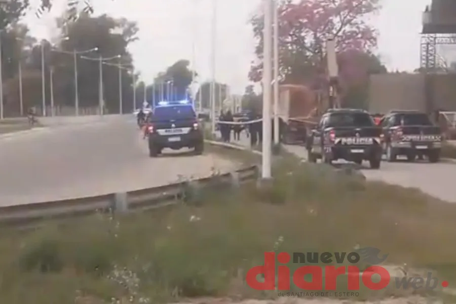 Tragedia en la zona norte: un hombre murió aplastado por pesados chapones al descargar un camión