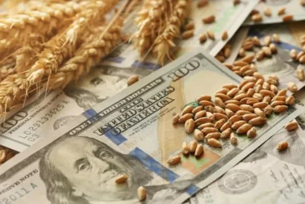 El agro aportará 4.613 millones de dólares en retenciones durante 2026 pese a la baja de alícuotas