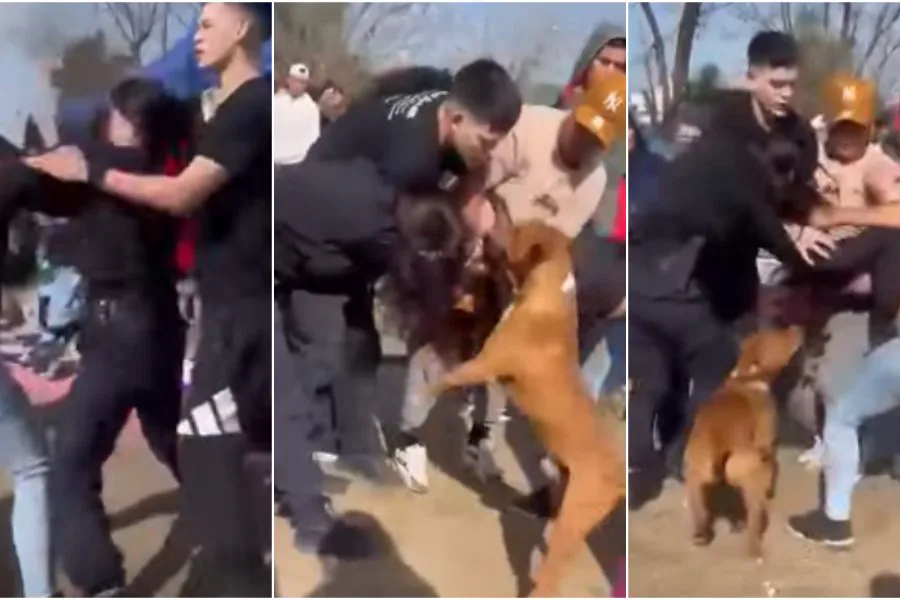 Investigan a una mujer policía tras una pelea callejera con una comerciante en el conurbano bonaerense