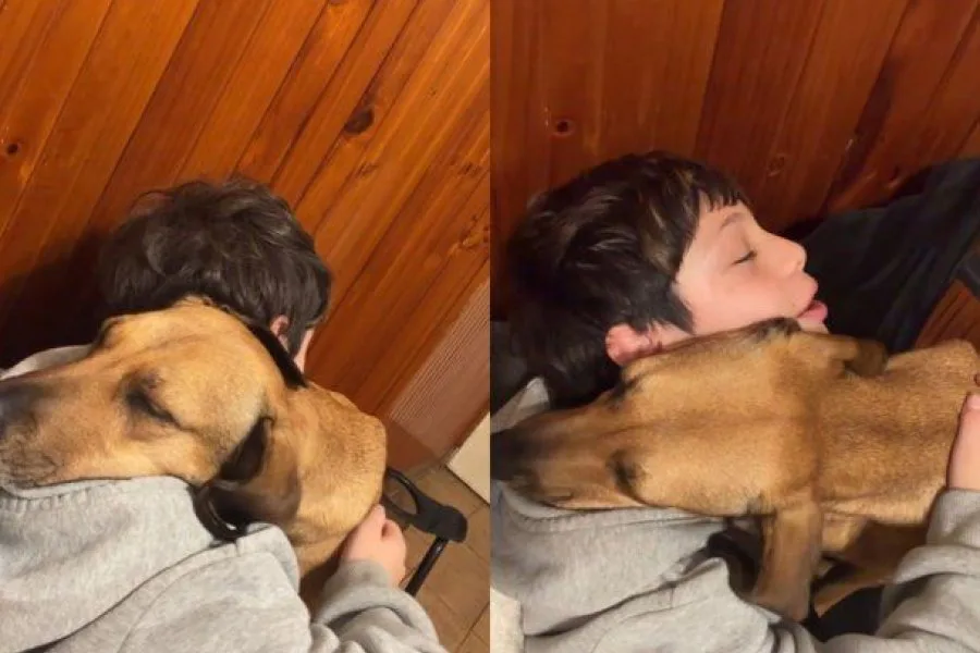 Un niño llena de abrazos a su perrita Palta y conmueve las redes al recordar cómo la rescató