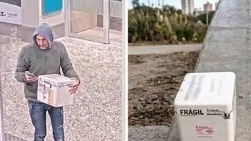 Dejó un riñón en una conservadora en Aeroparque por una “broma” y terminó detenido