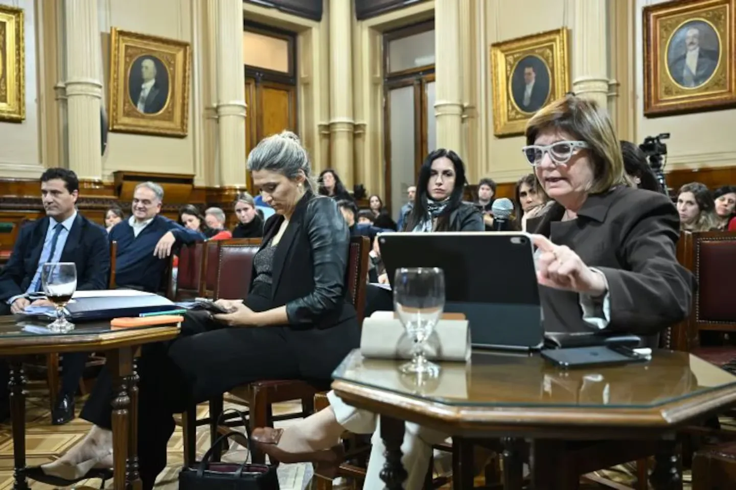 El Senado reanuda el debate de la reforma política e incorpora los proyectos de Ficha Limpia y primarias optativas