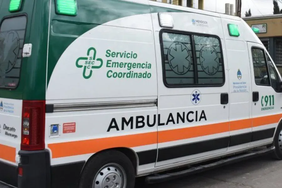 Un hombre de 65 años murió tras ser atropellado por una camioneta