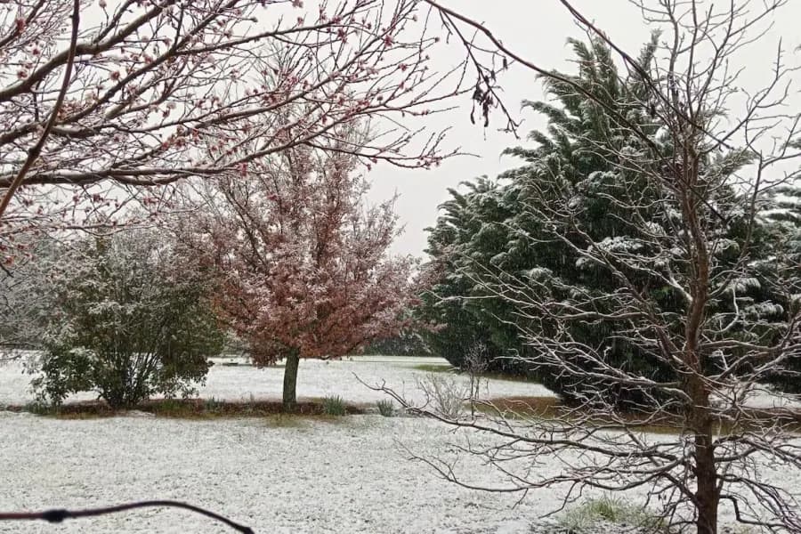 La nieve cubrió las Altas Cumbres y obligó a cortar una ruta en Córdoba