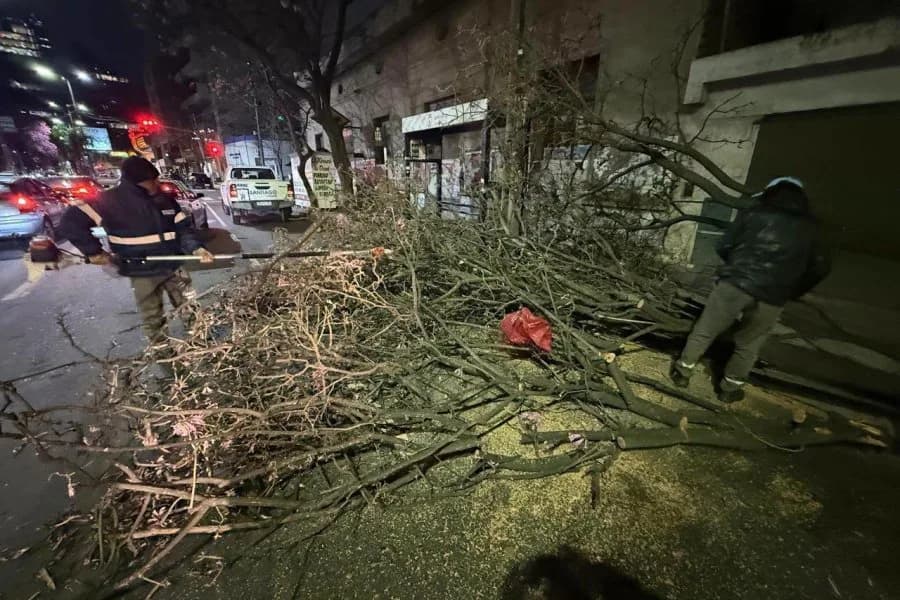 Las fuertes ráfagas derribaron un árbol en plena avenida Belgrano durante la madrugada
