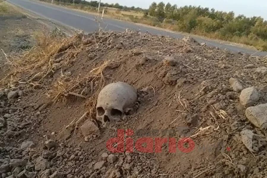 Impactante hallazgo: encontraron un cráneo a unos 20 metros de una ruta provincial
