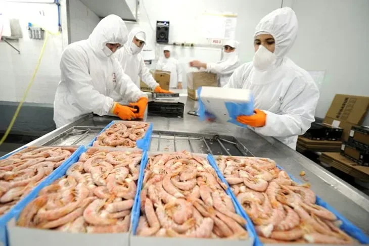 Las exportaciones pesqueras argentinas crecieron un 23,4% entre enero y agosto de 2026 impulsadas por el langostino