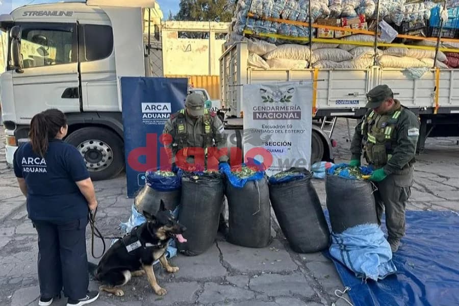 Frenaron un camión en Quimilí y encontraron 113 kilos de hojas de coca valuados en más de $8 millones