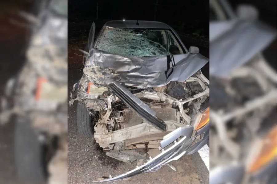 Una pareja de santiagueños chocó contra un caballo suelto en la Ruta 157 y destruyó su automóvil