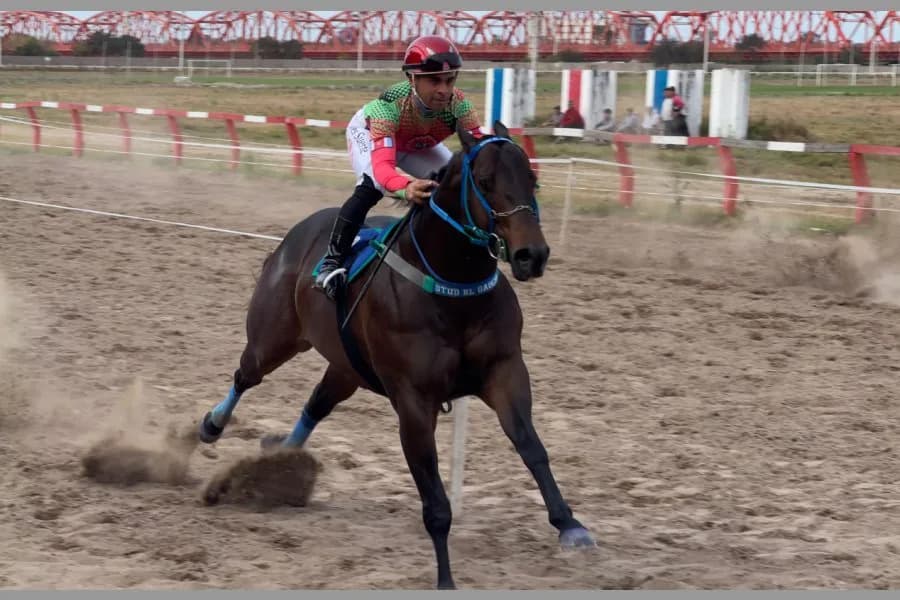 El hipódromo 27 de Abril se prepara para una jornada con 13 carreras