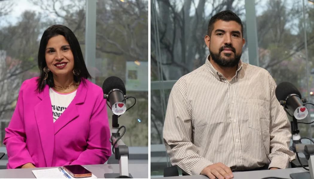 Buscan padrinos para castraciones masivas en Santiago: cómo colaborar con la campaña