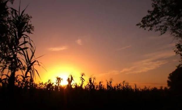 El Servicio Meteorológico Nacional prevé una jornada inestable con tormentas aisladas y máxima de 30 grados