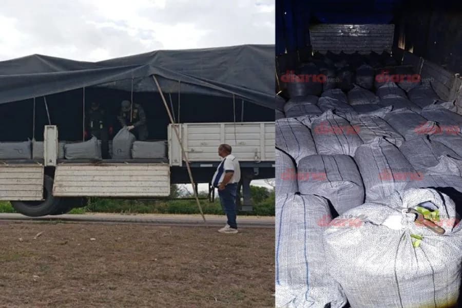 Gendarmería incautó más de 1.600 kilos de hojas de coca valuados en $242 millones en Quimilí