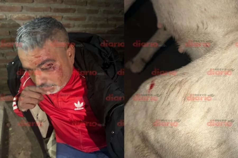 Dos sujetos apuñalaron a un perro y atacaron a machetazos al vecino que intentó defenderlo en Añatuya