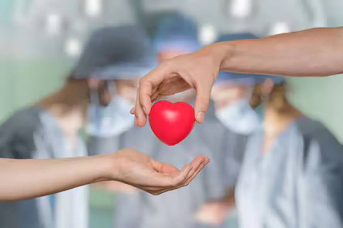 Día Mundial de la Donación de Órganos: quiénes pueden donar y qué establece la Ley Justina