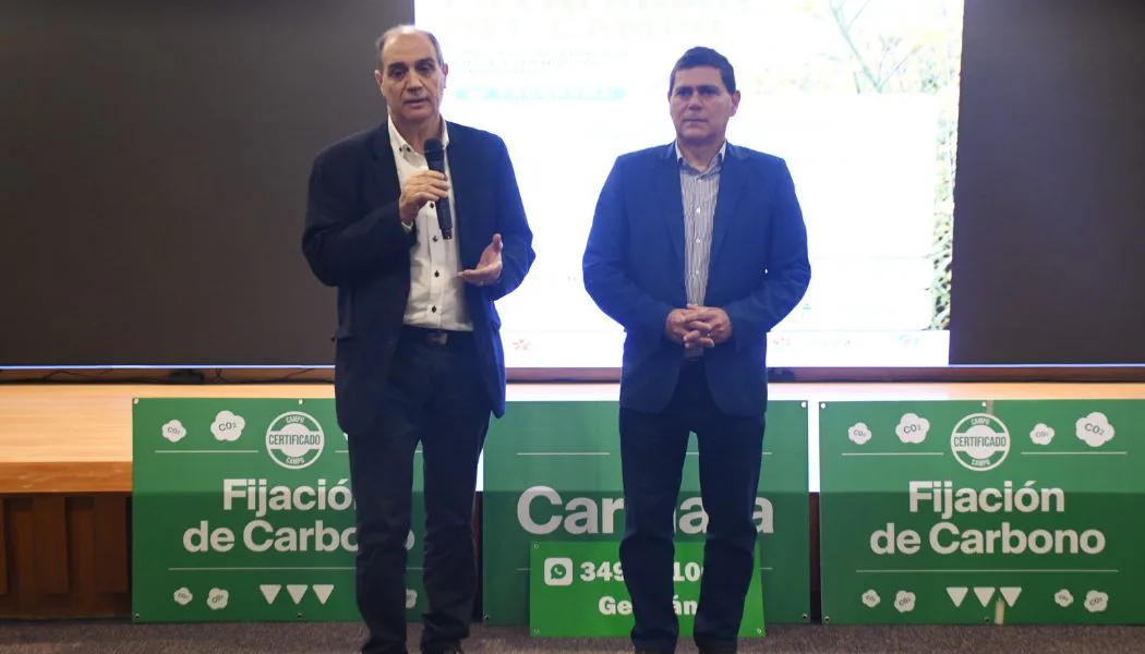 La carinata gana terreno en Santiago: el cultivo que podría abrir nuevas oportunidades económicas