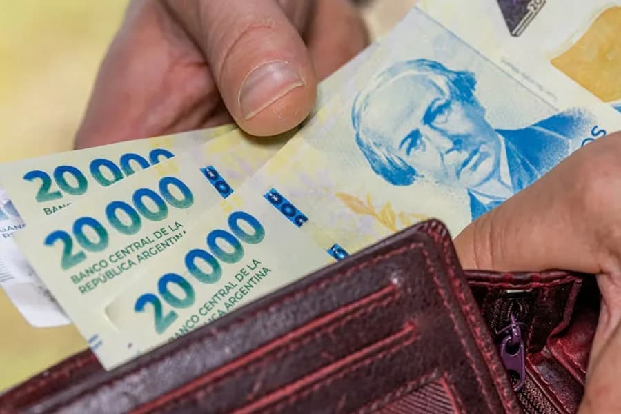 ANSES pagará un concepto adicional en el aguinaldo de diciembre: quiénes lo cobran
