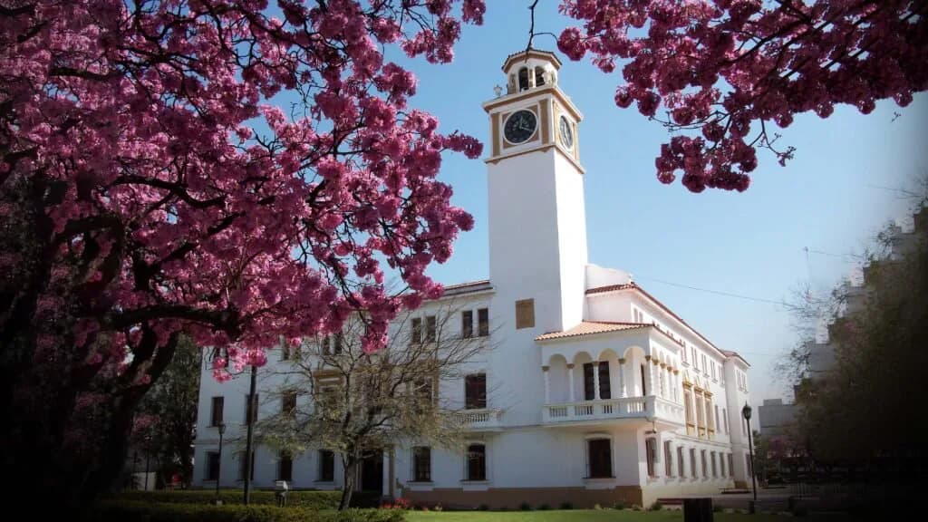 El Gobierno provincial decretó asueto para el próximo lunes 2 de noviembre