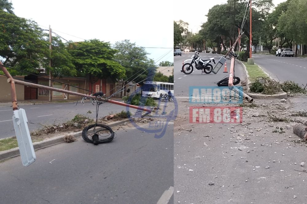 Violento choque y fuga: camioneta arrasó con una palmera y un poste