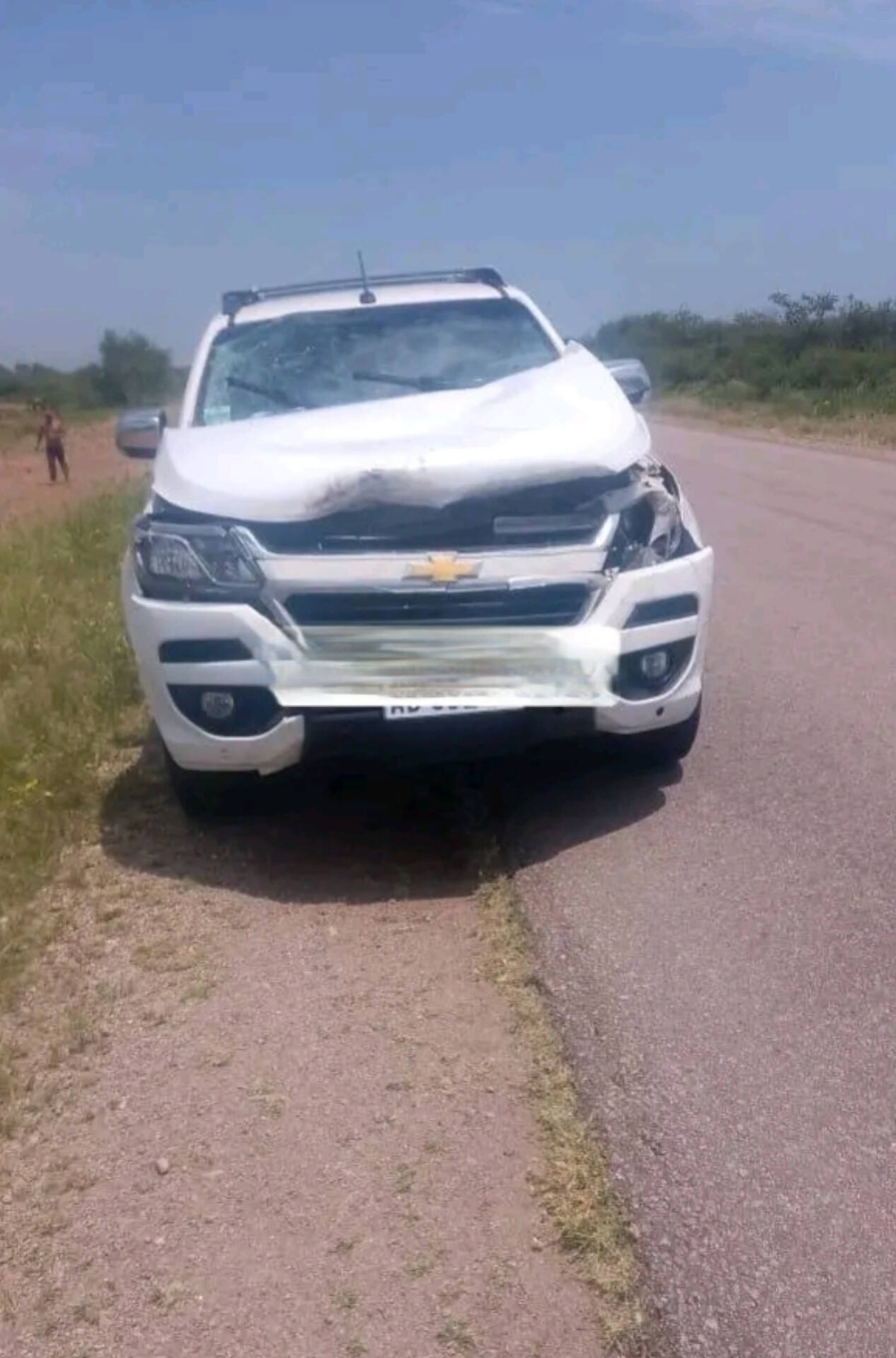 Animales sueltos provocaron un nuevo accidente a pocos kilómetros de Añatuya