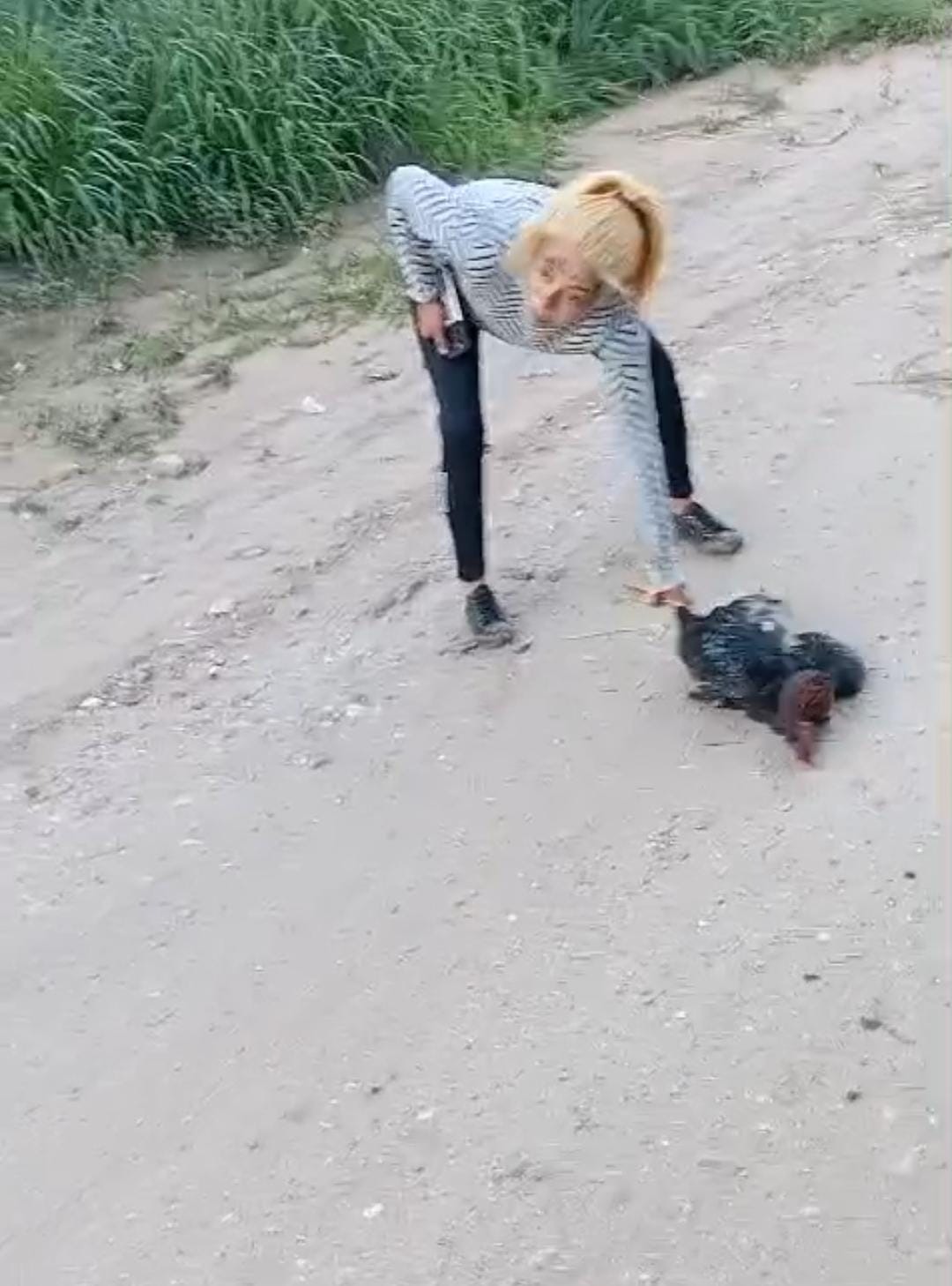 Vecinos denuncian a dos mujeres por maltrato y asesinato de animales en San Pedro de Guasayán