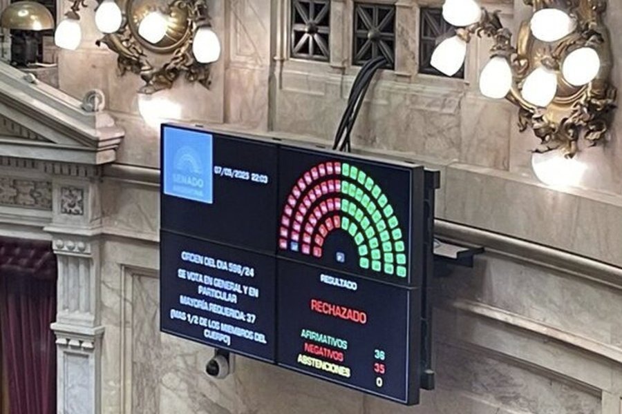 Ficha limpia: debate cultural y varios testimonios de funcionarios