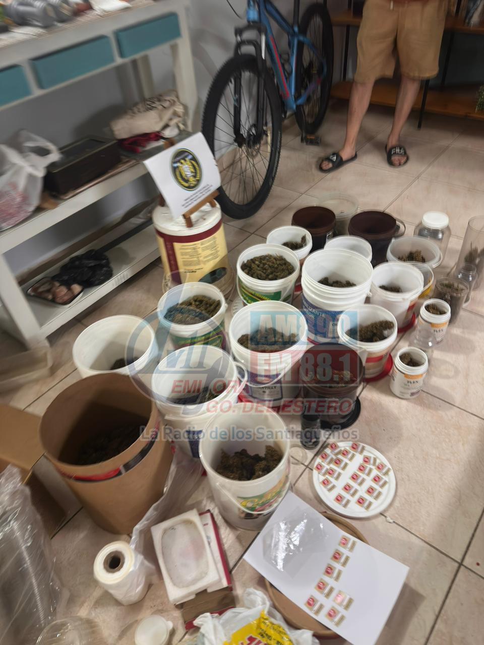 Golpe al narcotráfico en La Banda: secuestraron más de 1.200 plantas de marihuana y hay un detenido