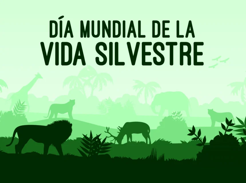 3 de marzo: Día Mundial de la Vida Silvestre, un llamado urgente a cuidar nuestra biodiversidad