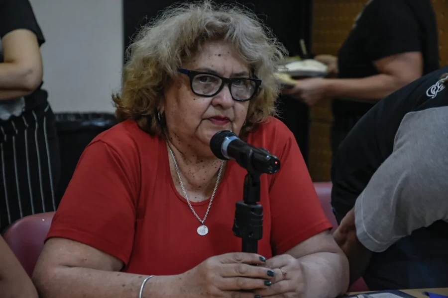 Elida Juárez, secretaria general de ATE, comunicó el estado de alerta en protesta por la "regresiva y perversa" ley de trabajo de Milei