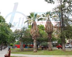 El tiempo para este sábado 7 de marzo en Santiago del Estero: se espera una jornada con cielo nublado y una máxima de 28°