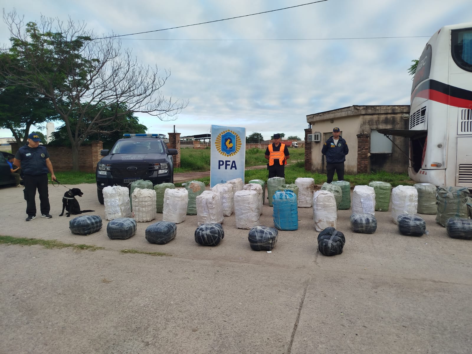 La Policía Federal incautó casi una tonelada de hojas de coca en la Ruta 5