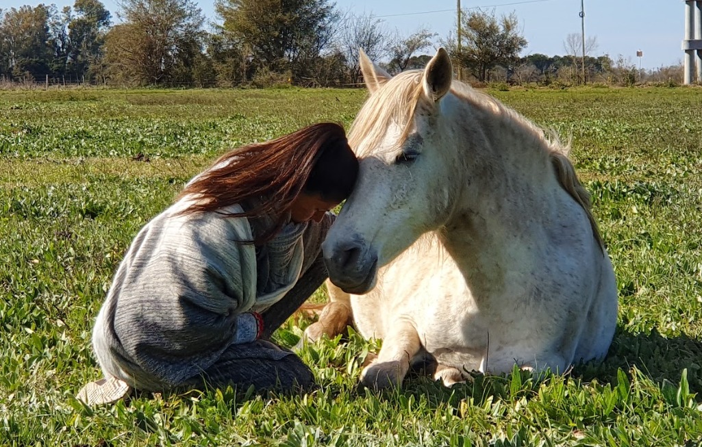 Coaching con caballos: la innovadora metodología que gana espacio en el desarrollo personal