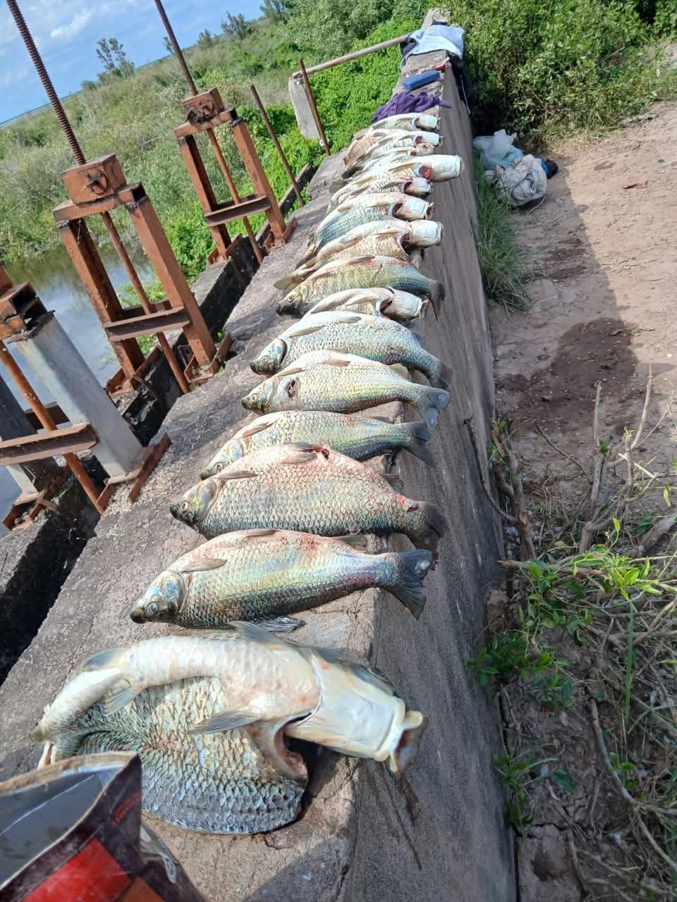 Amplio operativo contra la caza y pesca ilegal en el Dique de Figueroa