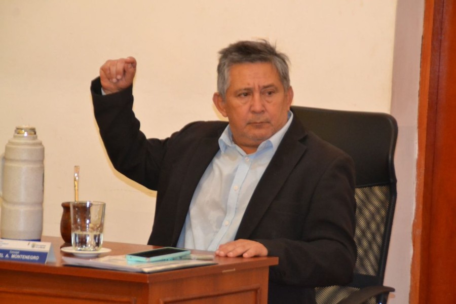 INFORME EXCLUSIVO NUEVO DIARIO: No es Ficha Limpia: es ficha trucha institucional