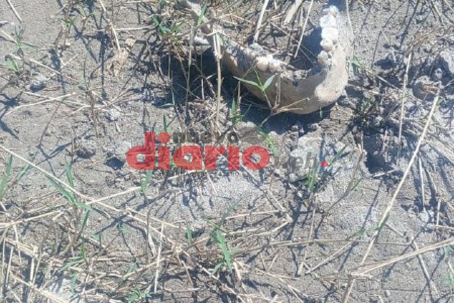 Hallan restos óseos humanos a la vera del río en la zona centro