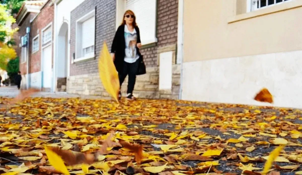 Pronóstico trimestral: Santiago y gran parte del país tendrán un otoño con calor atípico