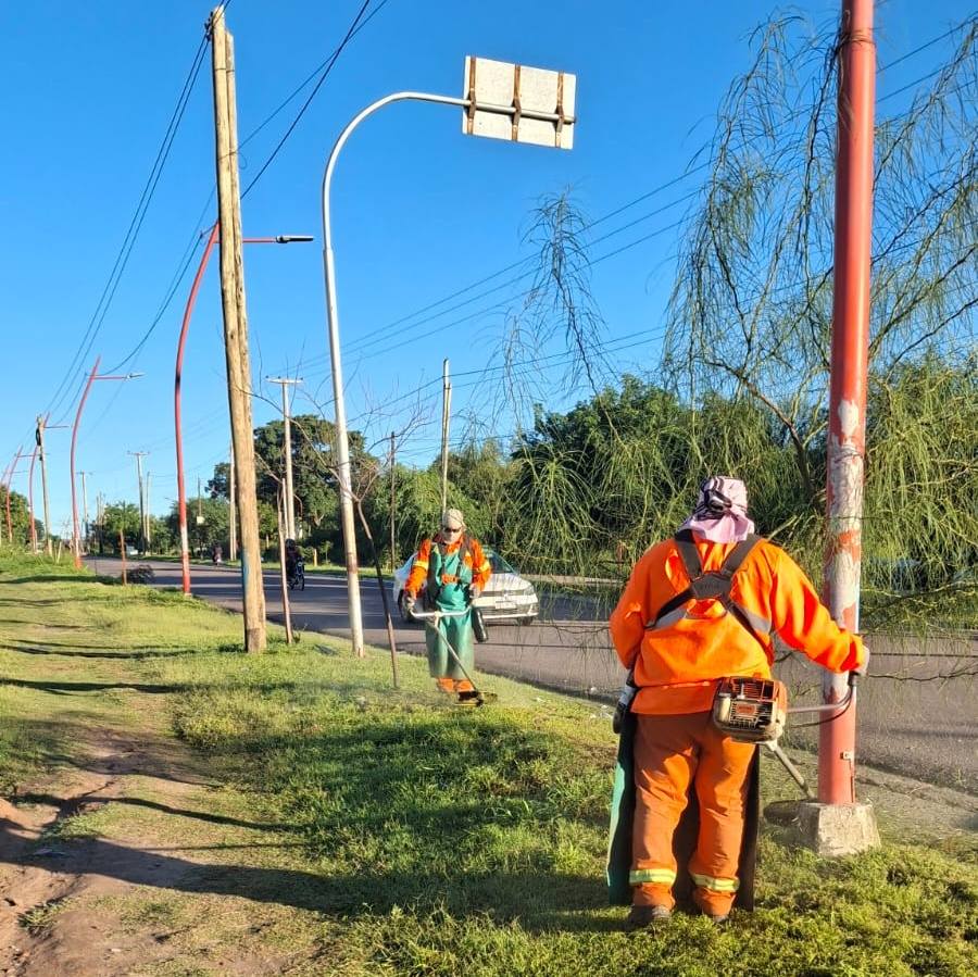 Refuerzan trabajos de desmalezamiento en la avenida Madre de Ciudades