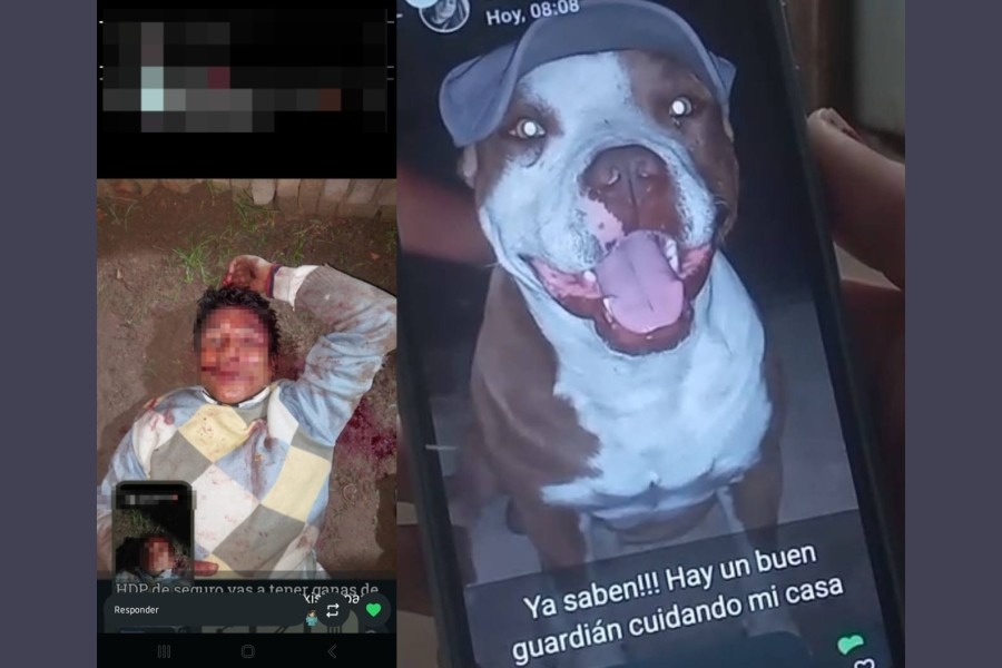 Entró a robar a una casa, saltó una tapia y terminó atacado por el perro de la familia