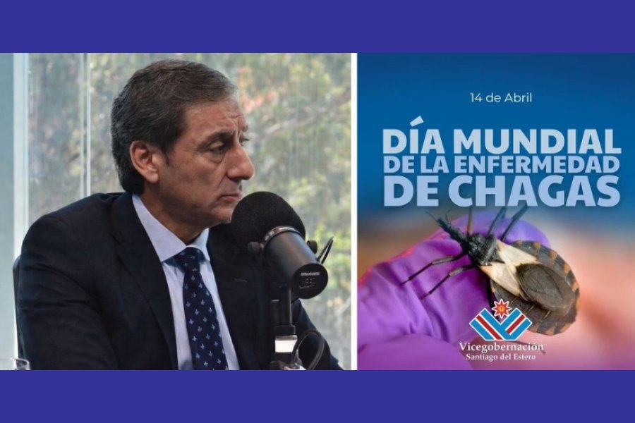 Silva Neder: "Santiago es un faro nacional en la lucha contra el Chagas"