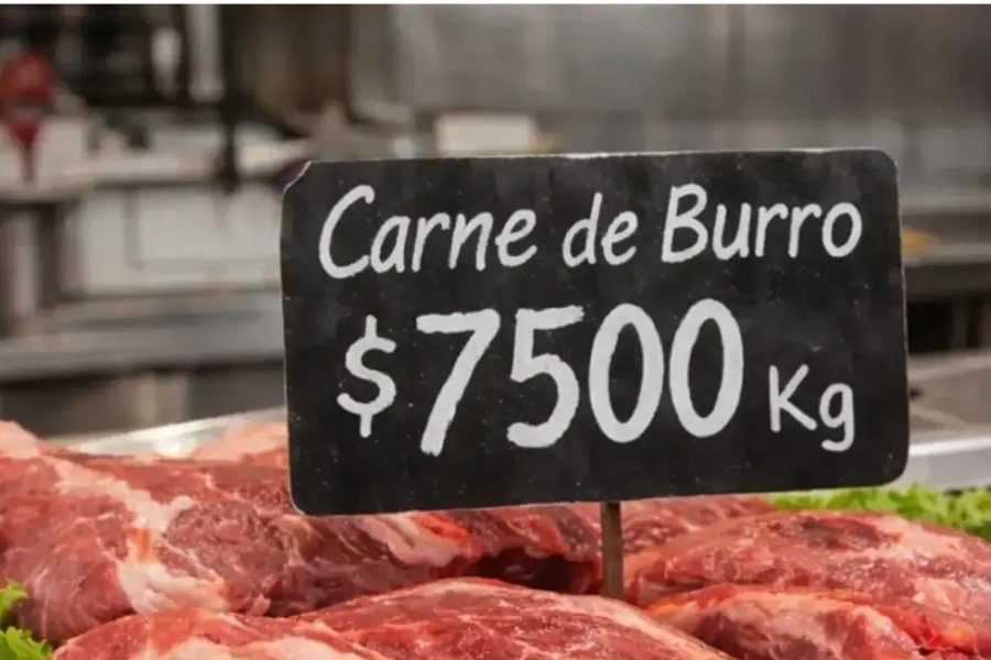 INFORME EXCLUSIVO NUEVO DIARIO: El cuentito poco feliz del burro en la carnicería